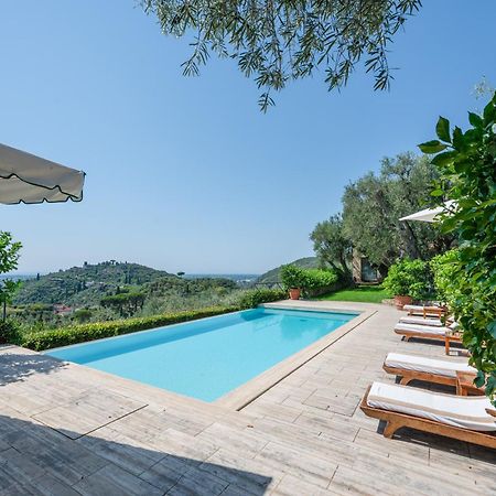 Villa Eden Forte Dei Marmi With Private Infinity Pool Santa Lucia  外观 照片