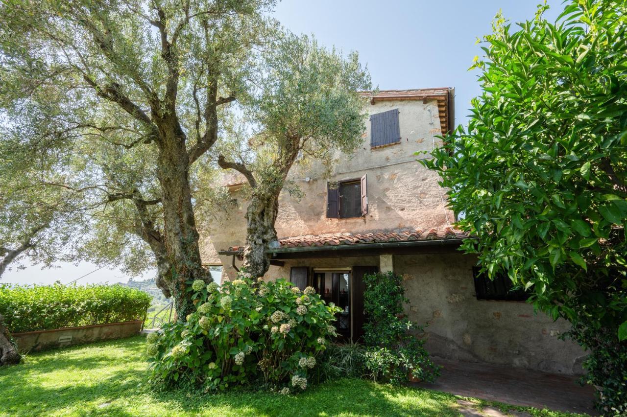 Villa Eden Forte Dei Marmi With Private Infinity Pool Santa Lucia  外观 照片