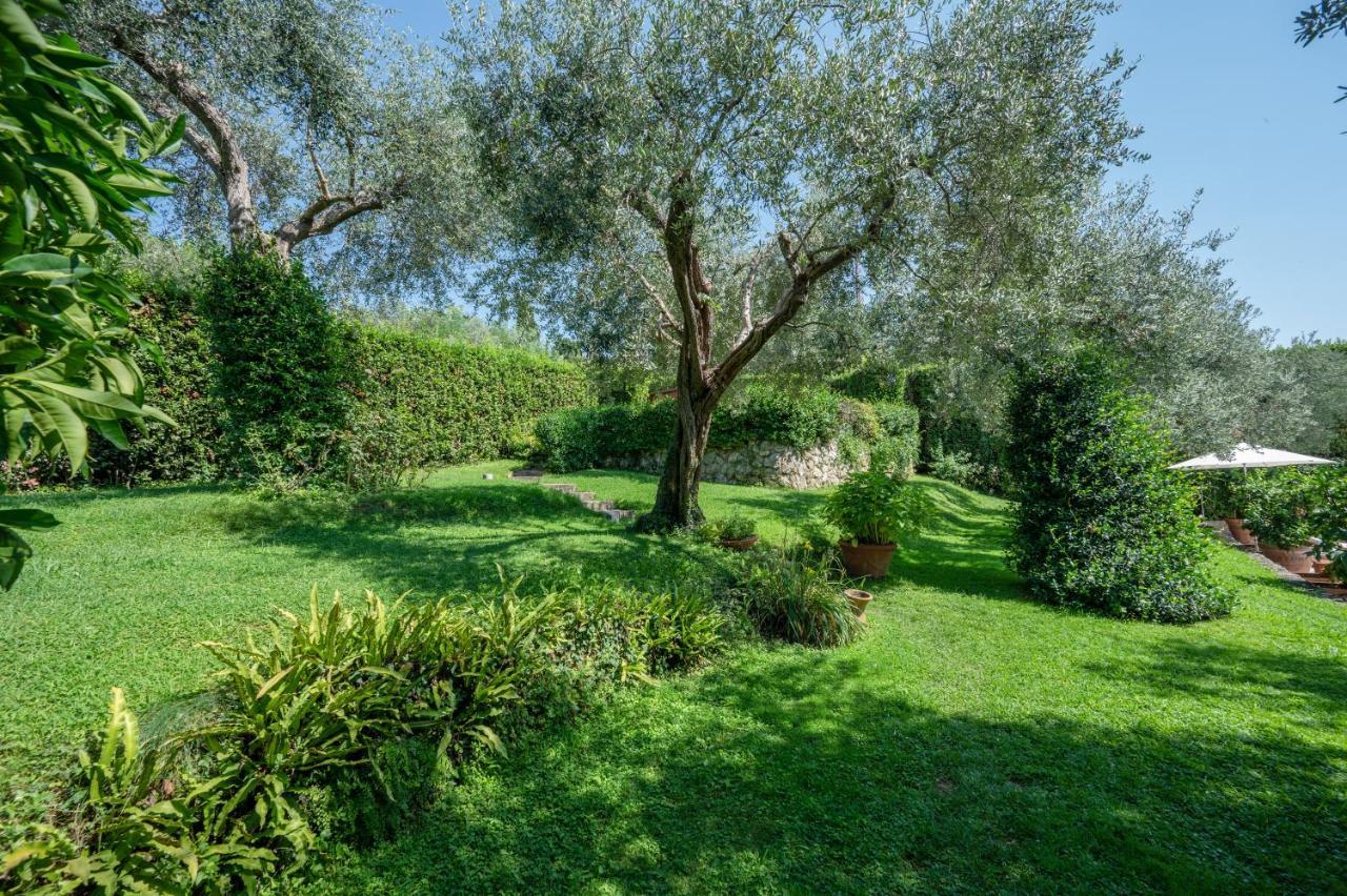 Villa Eden Forte Dei Marmi With Private Infinity Pool Santa Lucia  外观 照片