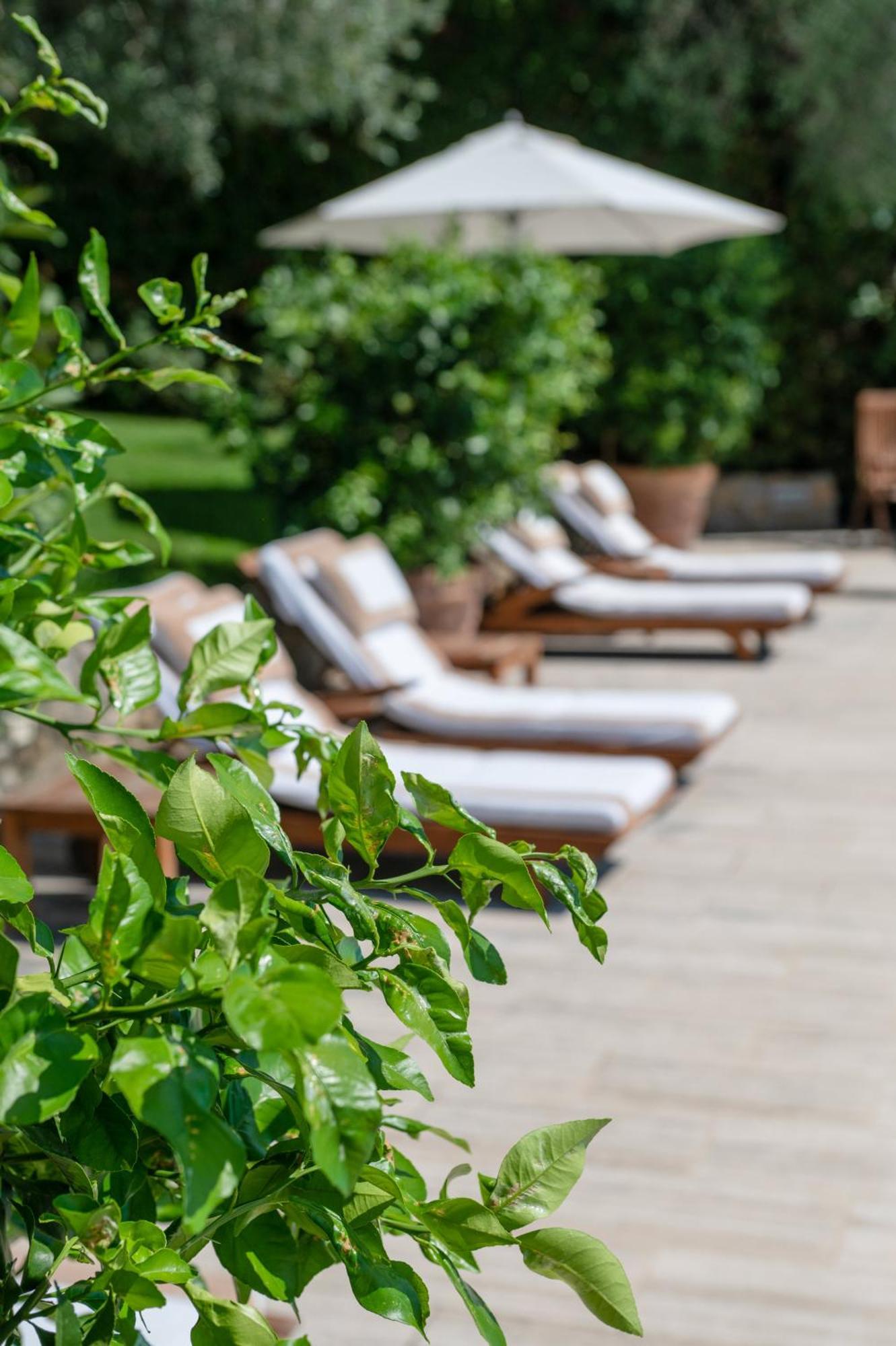 Villa Eden Forte Dei Marmi With Private Infinity Pool Santa Lucia  外观 照片