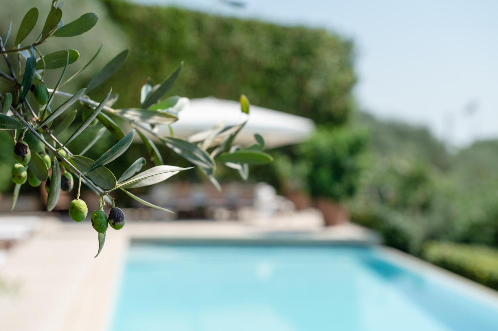 Villa Eden Forte Dei Marmi With Private Infinity Pool Santa Lucia  外观 照片